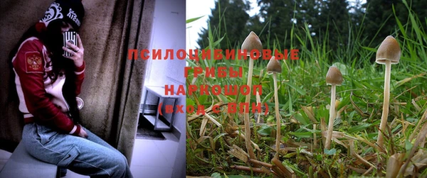 мет Няндома
