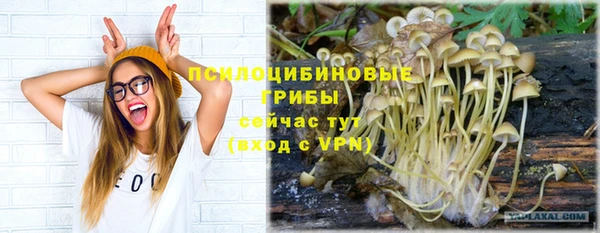 мет Няндома