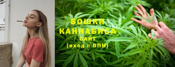 PSILOCYBIN Гатчина